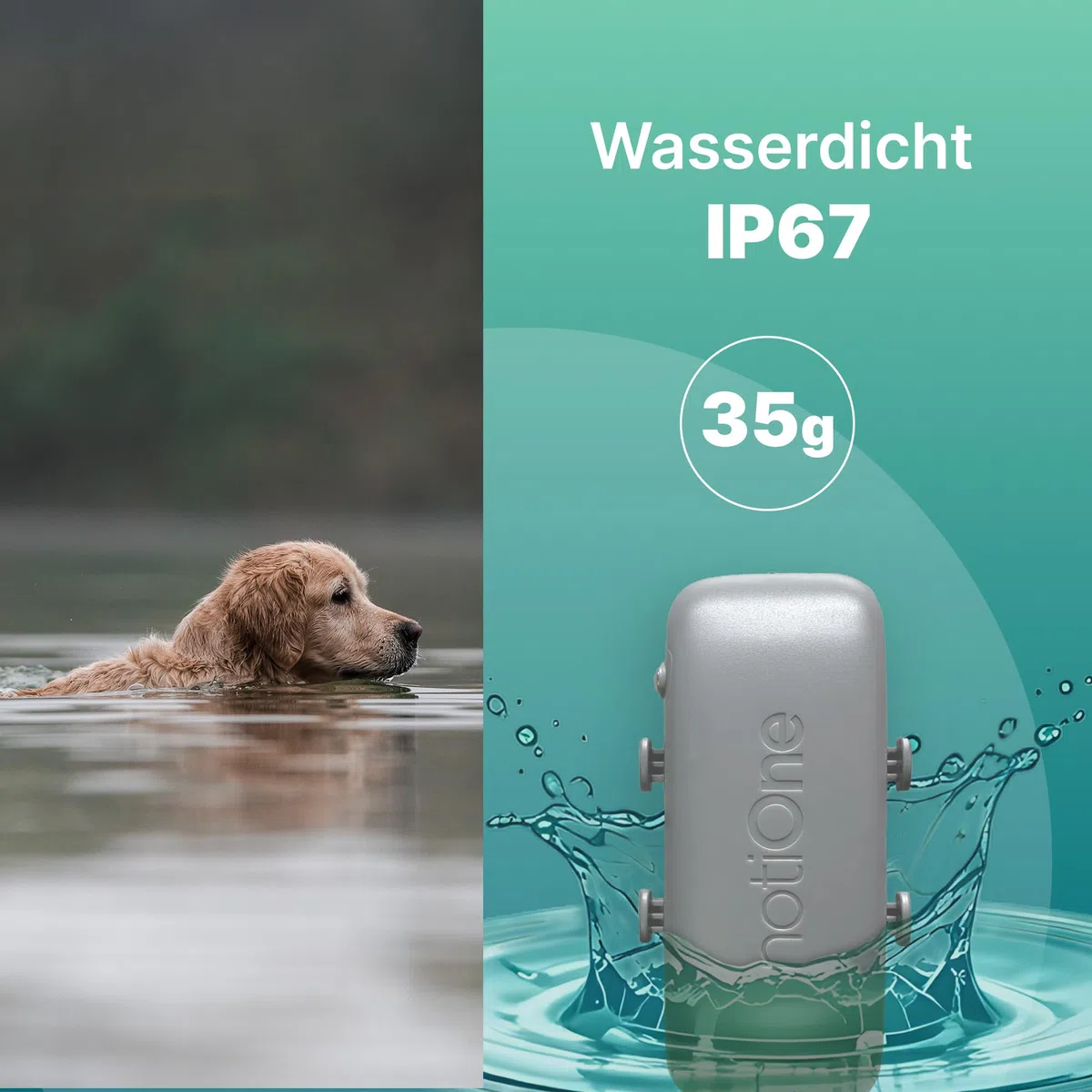 GPS Pet Tracker Plus für Hunde & Katzen ohne ABO | Wasserdichter Hunde GPS Tracker mit Geofence & Roaming