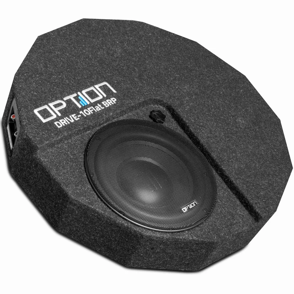 Option DRIVE10FLAT-BRP-D2 - Passiver 25cm Reserverad-Subwoofer (300 Watt RMS) mit Doppel-Schwingspule 2X 2 Ohm - Flacher Subwoofer mit 13cm Höhe