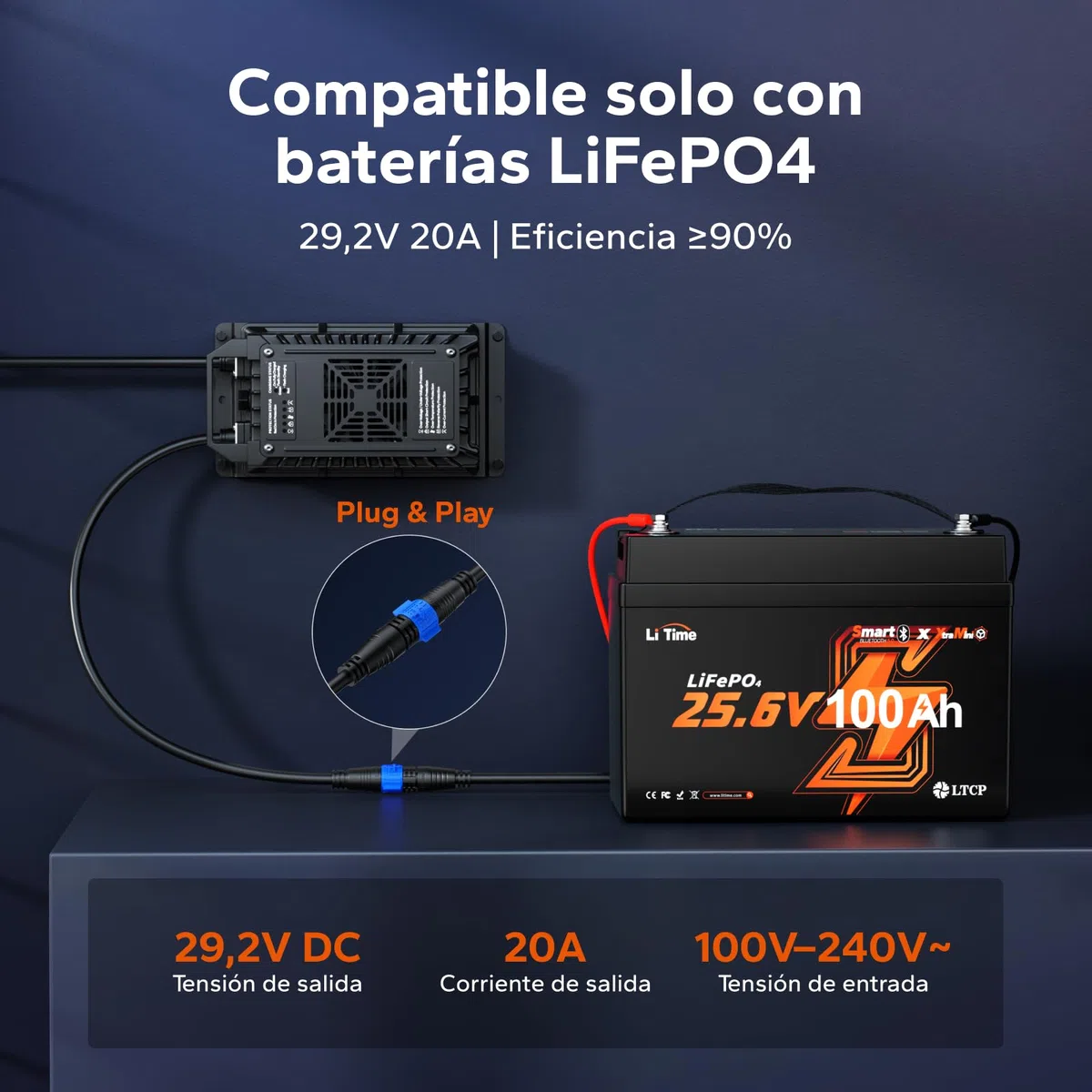 LiTime 24V 20A LiFePO4 Ladegerät, IP67 Wasserdichtes, 0V-Aktivierung, AC-DC