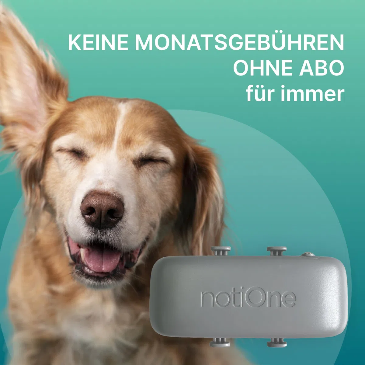GPS Pet Tracker Plus für Hunde & Katzen ohne ABO | Wasserdichter Hunde GPS Tracker mit Geofence & Roaming