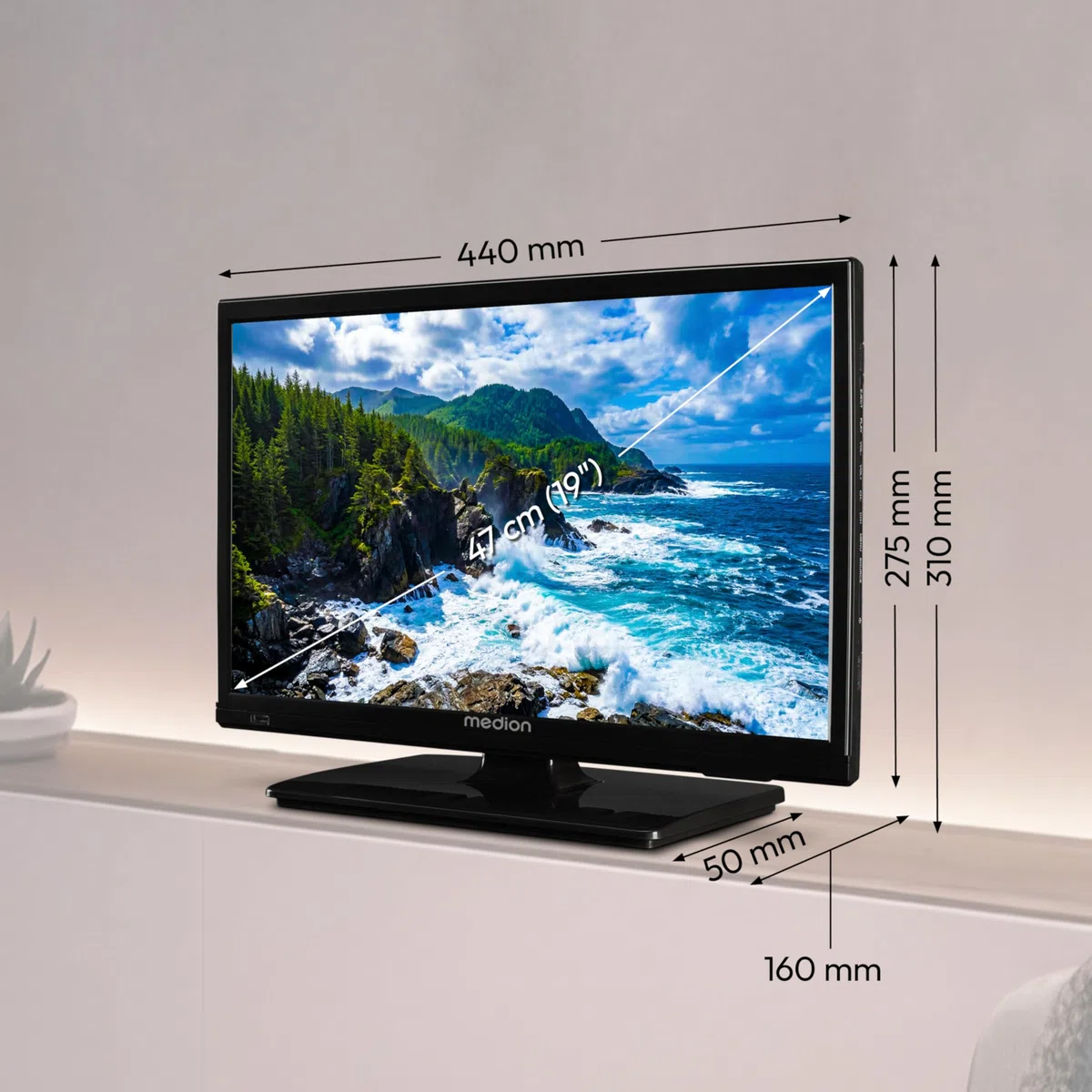 MEDION 47 cm (19 Zoll) HD Fernseher (perfekt für Camping Wohnmobil LKW Garten, inkl 12V KFZ Car-Adapter, Triple Tuner Receiver, HDMI, USB, MD 819000)