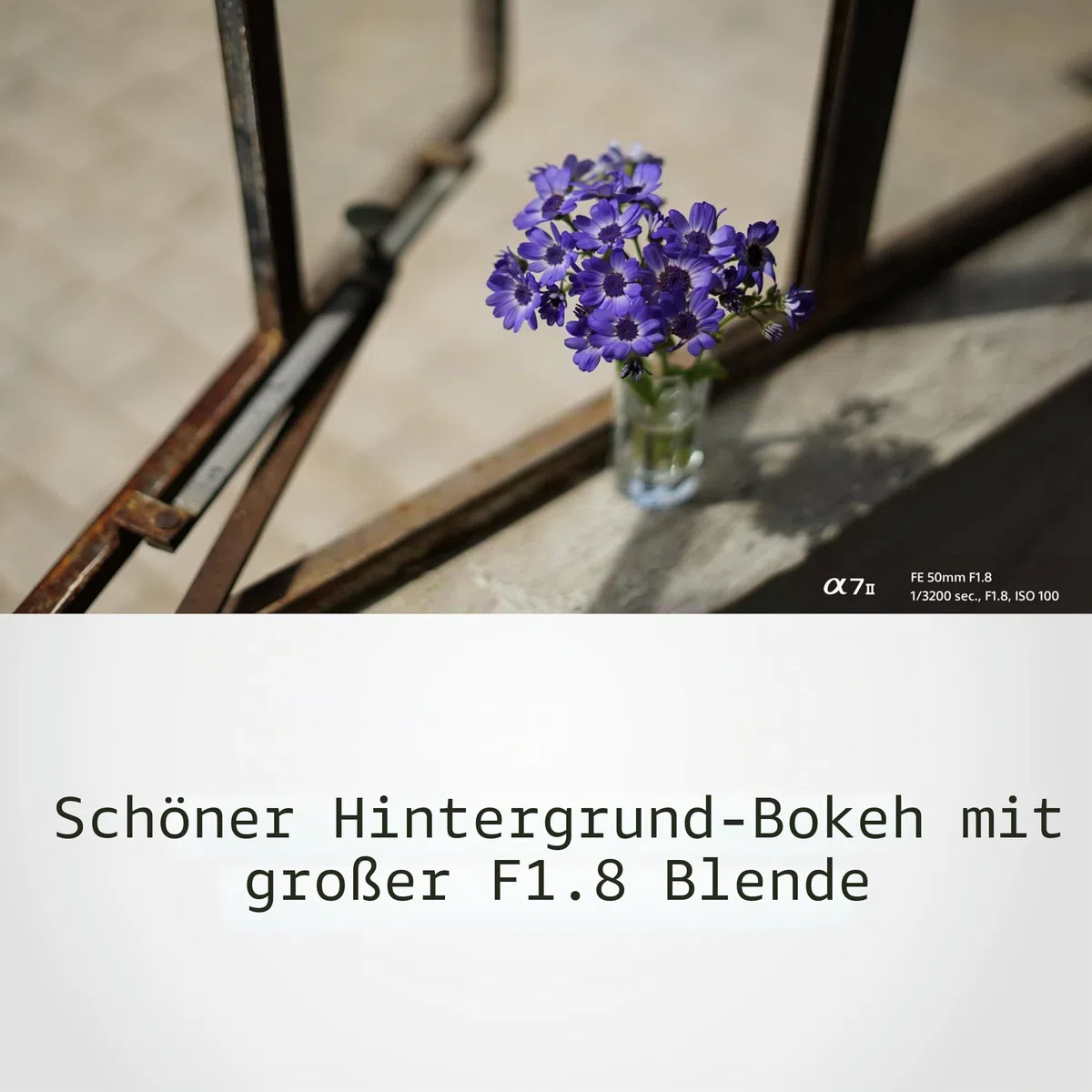 Sony SEL-50F18F 50mm f/1.8 Festbrennweite für Sony E-Mount (APS-C und Vollformat, lichtstark, leiser Autofokus, ideal für Porträts, kompatibel mit Sony A7-Serie & ZV-E1, A6000-Serie & ZV-E10)