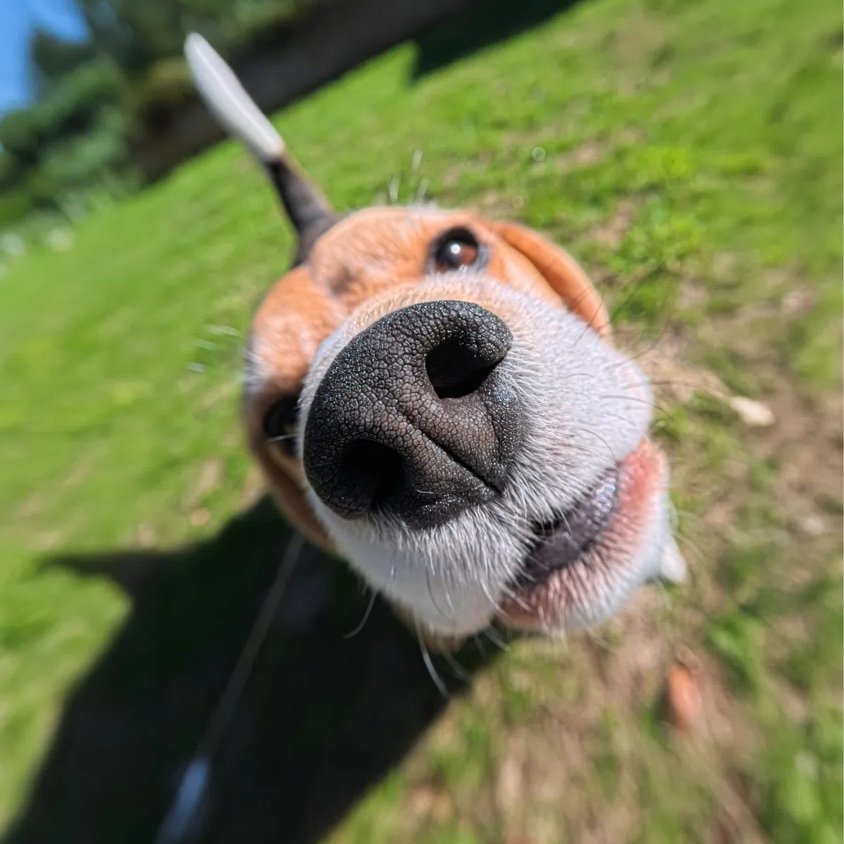 Insta360 GO 3S Mikro-Objektiv