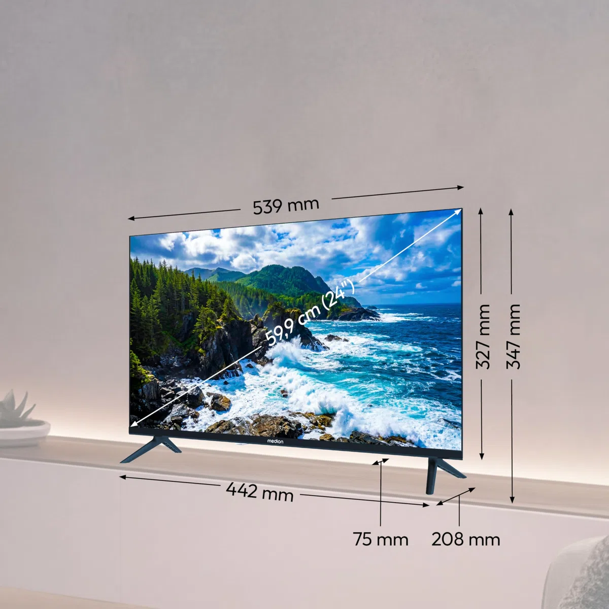 MEDION 59,8 cm (24 Zoll) HD Fernseher (VIDAA, Smart TV, Prime Video, PVR, HD Triple Tuner, MD 824102)