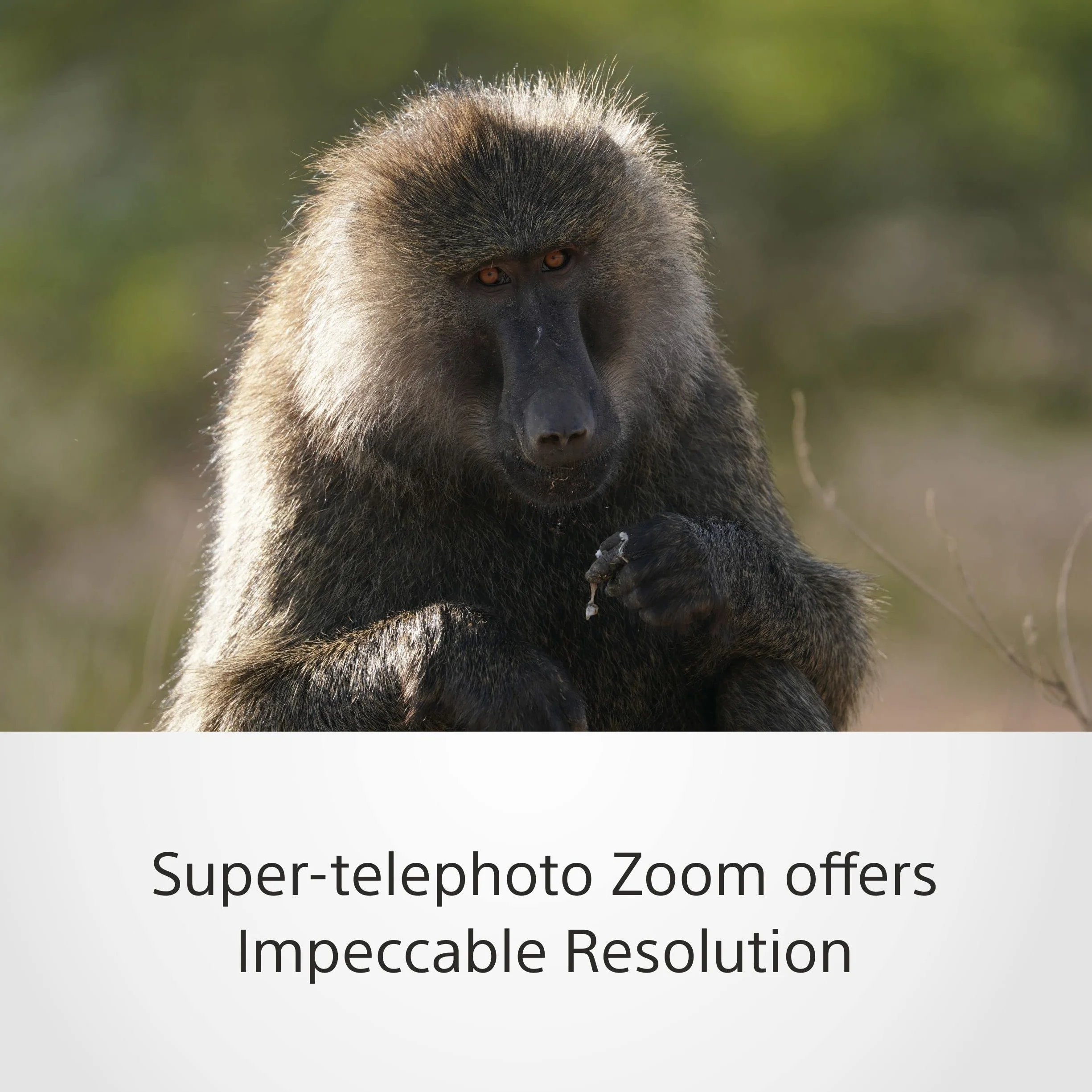 Sony SEL200600G – 200-600mm F5.6-6.3 G Telezoom für Vollformat & APS-C (große Reichweite, E-Mount, ideal für Sport & Wildlife, kompatibel mit A7-Serie, ZV-E10, A6400, A6700)
