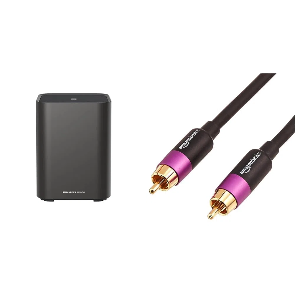 Sennheiser AMBEO Sub für TV und Musik - EU-Stecker & Amazon Basics RCA PBH-19088 Subwoofer-Kabel, 2.4 m, Schwarz