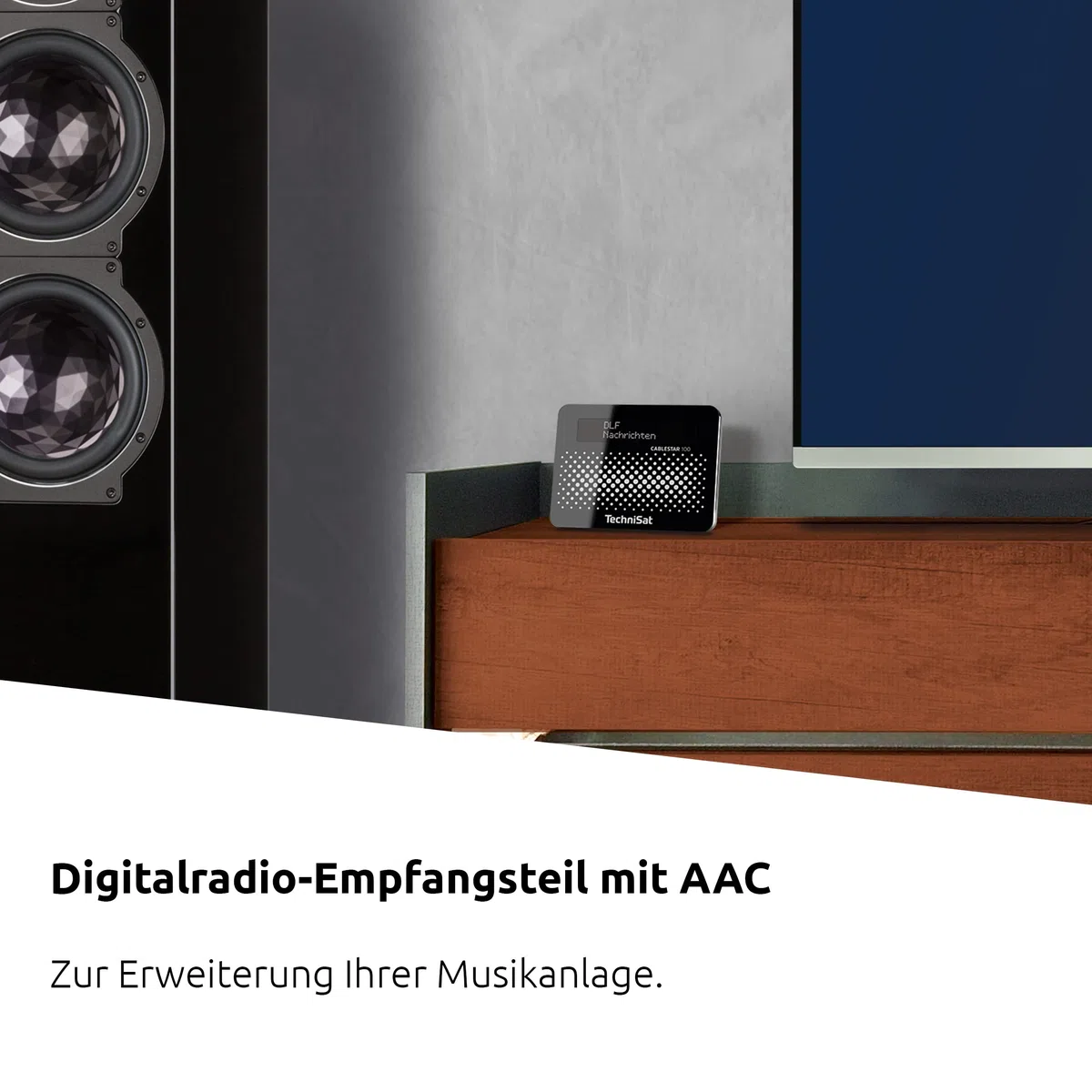 CABLESTAR 100 Digitalradio (für unverschlüsselte digitale Radioprogramme via Kabelnetz) schwarz